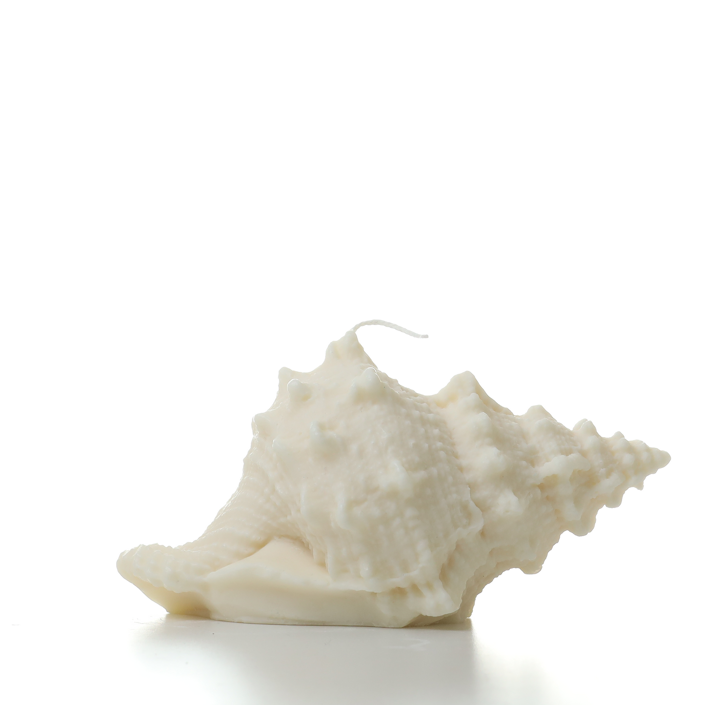 Murex shell