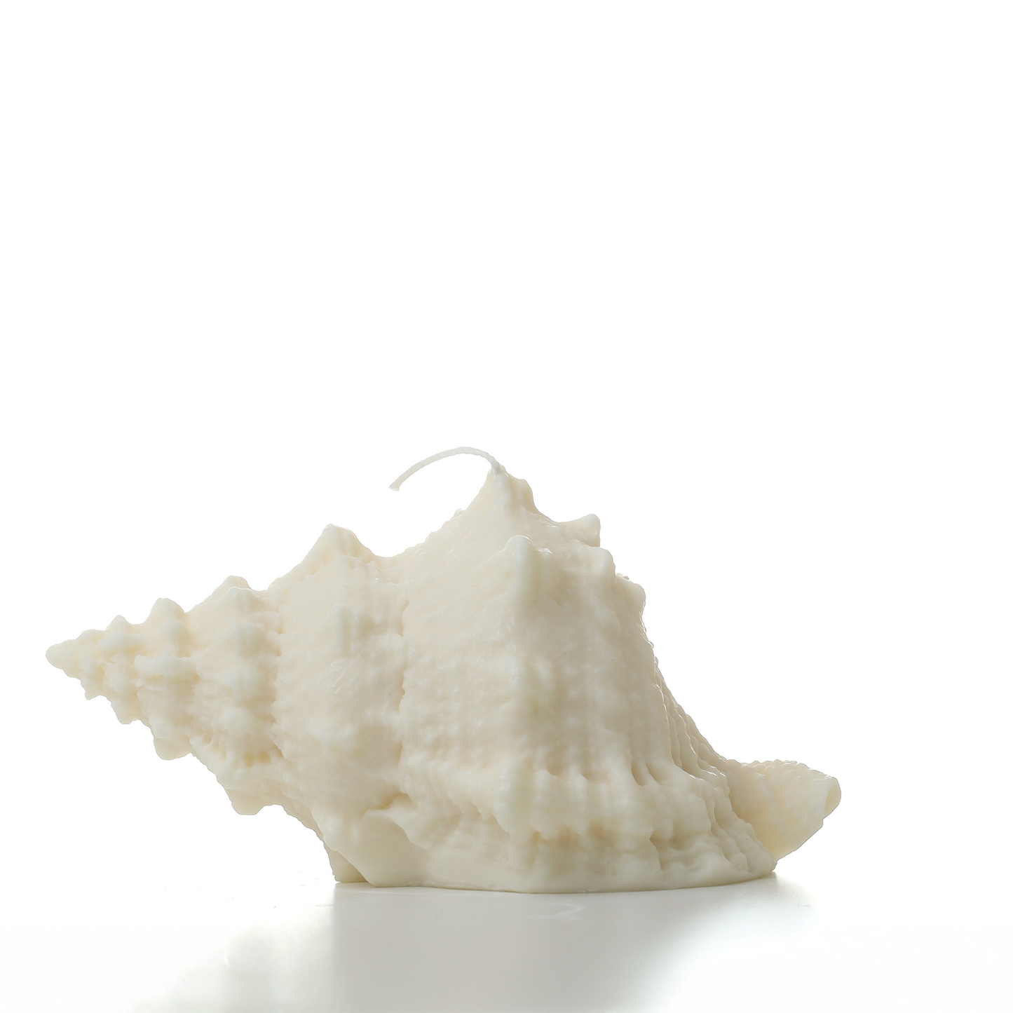 Murex shell