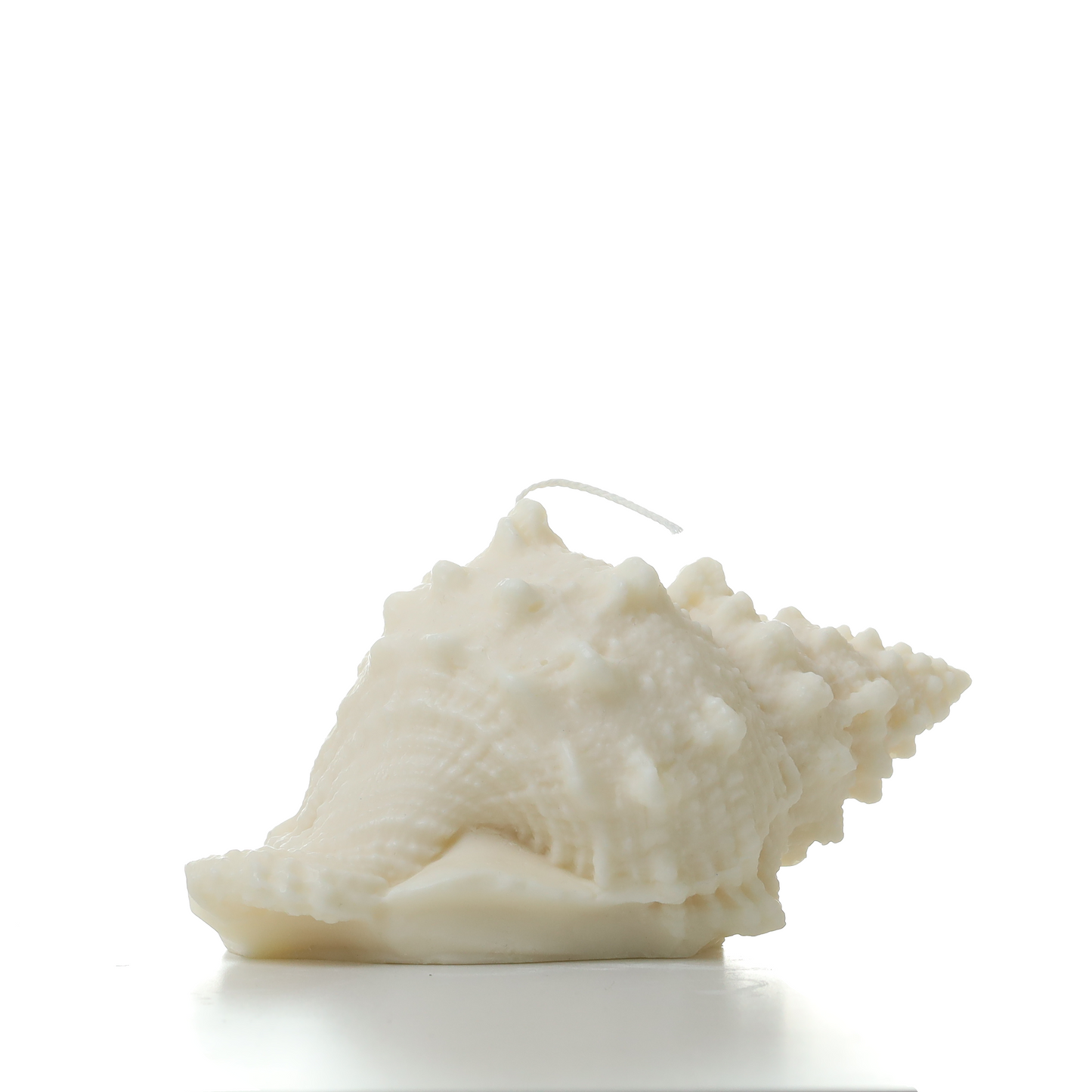 Murex shell