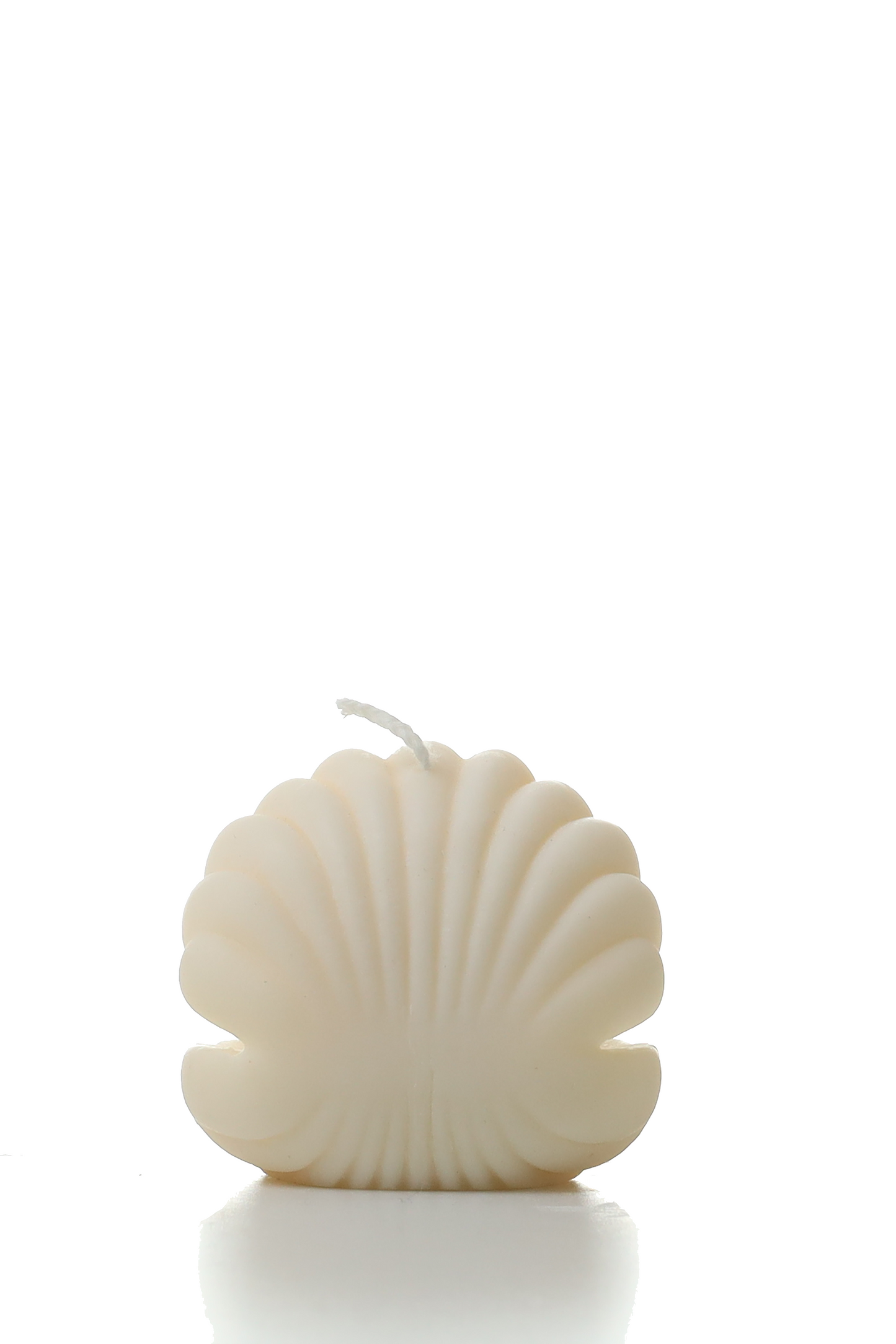 Scallop with pearl