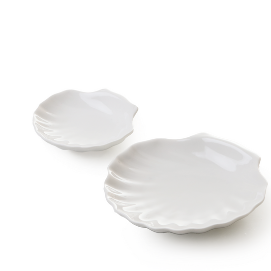 White scallop trinket dish