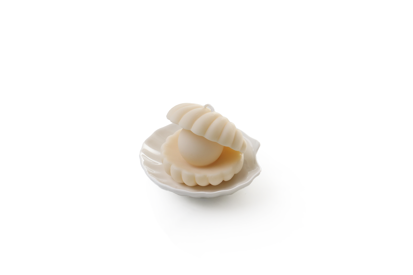 White scallop trinket dish