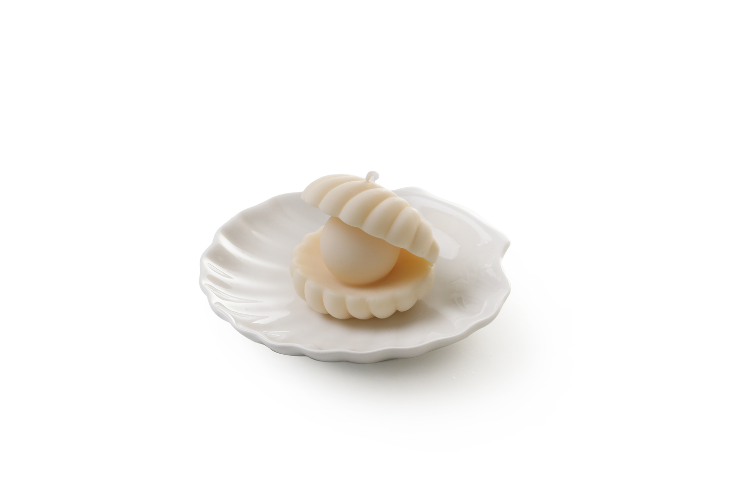 White scallop trinket dish
