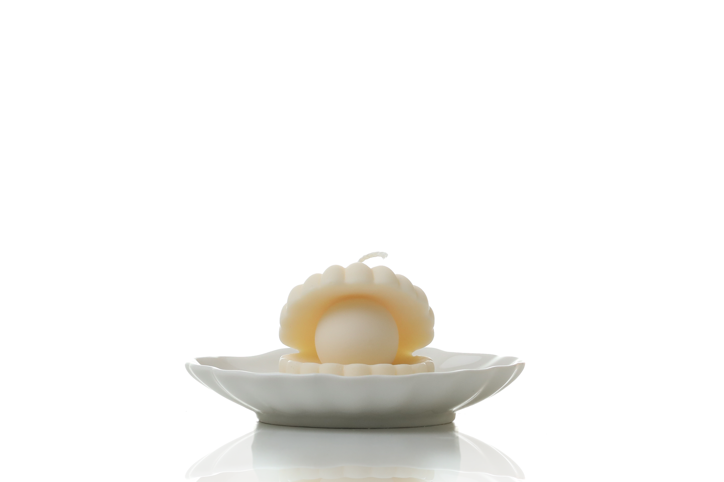 White scallop trinket dish