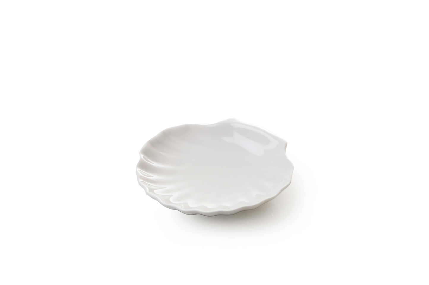 White scallop trinket dish