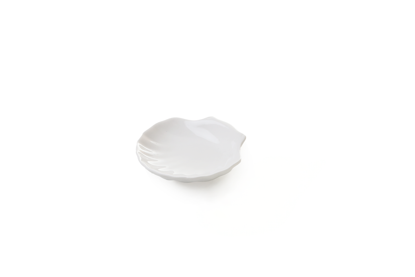 White scallop trinket dish
