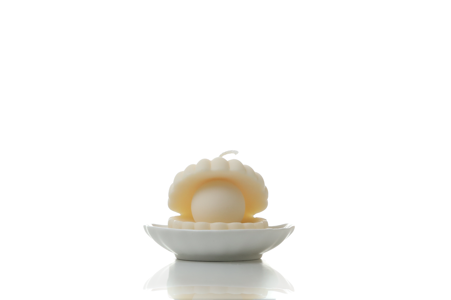White scallop trinket dish